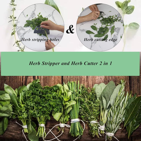 LXLVOUEG 2 1,Herb Lovers,1PCS,Black,Stainless Herb Stripper and Herb Cutter in Stripping Tool Herb Chopper Cilantro