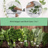 LXLVOUEG 2 1,Herb Lovers,1PCS,Black,Stainless Herb Stripper and Herb Cutter in Stripping Tool Herb Chopper Cilantro