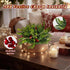 2PCS Bailikang Christmas Artificial Pine Needles Branches Table Decor with Red Berry Pine Cones Greenery Stems