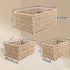 Paper Woven Storage Baskets with Iron Frame, Set of 3 Desk Organizers