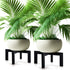 Wenqik 2 Pack 16 Inch Wood Plant Stand Wooden Plant Pot Holder