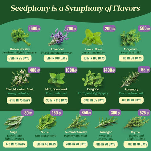 25 Pack 13,055+ Culinary Herb Seeds Variety - Non-GMO Heirloom Herbs Seeds for Planting Indoor & Outdoor: Rosemary