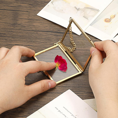 JUXYES Mini Brass Wall Hanging Photo Frame Set of 4, Double Glass Floating Frame for Artwork, Picture, Pressed Flower,