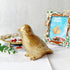 Golden Bird Statue, Animal Figurine Home Decor, Bird Sculpture for Home Office Desktop Bookshelf
