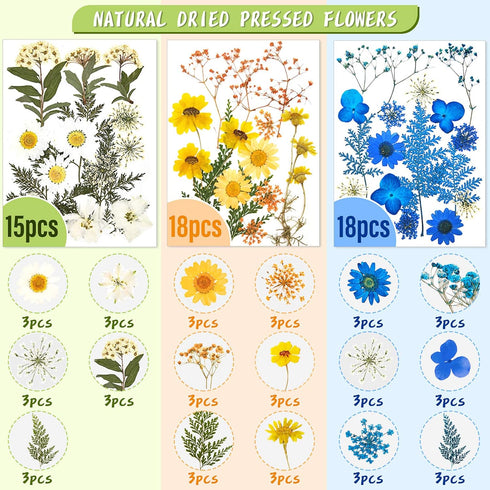 Nuanchu 167 Pcs Real Dried Pressed Flowers, Colorful Daisy Mixed Wildflowers for DIY Candle Resin Crafts