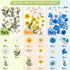 Nuanchu 167 Pcs Real Dried Pressed Flowers, Colorful Daisy Mixed Wildflowers for DIY Candle Resin Crafts
