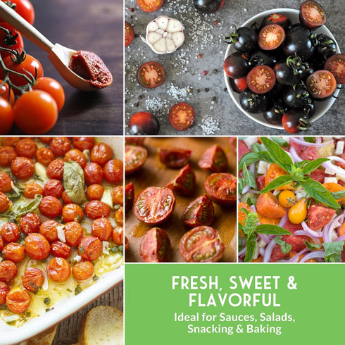 5 Pack Cherry Tomato Seeds for Planting Variety with Tiny Tim, Black Cherry, Yellow Pear, Large Red & Orange | Heirloom
