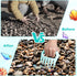 DOSTATNI Sand Scoop with Shovel Sand Flea Rake with Beach Mesh Bag Plastic Sand Sifter for The Beach Shell Scooper