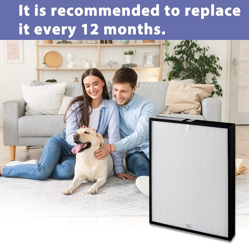 AP350 Replacement Filter for Envion Allergy Pro AP350 Air Purifier, True HEPA (H13)