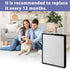 AP350 Replacement Filter for Envion Allergy Pro AP350 Air Purifier, True HEPA (H13)