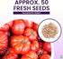 Beefsteak Tomato Seeds for Planting Heirloom, Large & Juicy One of the Most Delicious Tomatoes for Home Growing
