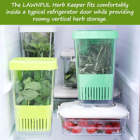 3 Pack Fresh Herb Keeper for Refrigerator, Clear BPA-Free Herb Saver, Storage Container for Cilantro, Parsley, Thyme