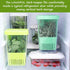 3 Pack Fresh Herb Keeper for Refrigerator, Clear BPA-Free Herb Saver, Storage Container for Cilantro, Parsley, Thyme
