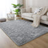 IR Imperial Rooms 4x6 Feet Grey Luxury Area Rug, Soft Fluffy Shaggy Carpet for Living Room, Non-Slip Home Decor