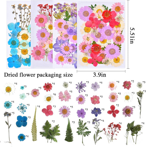 160 Pcs Dried Pressed Flowers, Real Pressed Flowers Dry Leaves Bulk Natural Herbs Kit for Scrapbooking, DIY Art Crafts