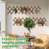 Pack 2 of Extra Thick Wooden Wall Trellis- Expandable Wall Planter Lattice Panels for Climbing Plants, Hanging Vertical