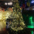 Luna Gift Pack 2 Decorations,50 Count Leds,18FT Indoor Battery-operated Led String Lights with Timer,Mini Leds Fairy