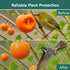 Bird Netting for Chicken Coop, Poultry Netting Over Chicken Run & Chicken Pen, Heavy Duty Nylon Nettings Reusable