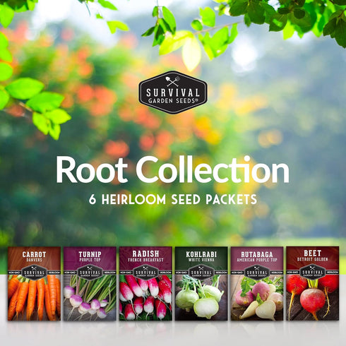 Pack 6 Root Vegetable Seeds for Planting Variety Heirloom Non-GMO Root Crops: Carrots, Turnips, Radishes, Kohlrabi