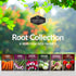 Pack 6 Root Vegetable Seeds for Planting Variety Heirloom Non-GMO Root Crops: Carrots, Turnips, Radishes, Kohlrabi