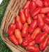 75 Burpee 'San Marzano' Heirloom, Paste Tomato, Non-GMO Seeds
