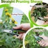 WORKPRO Garden Pruning Shears, 2 Pack, 8" Bypass and 6.25" Straight Garden Scissors