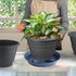 Feyvdzv 4 Pack 8 inch, 10 12 14 17 inch, Plant Saucer Plant Stand Plastic Plant Saucers for Indoors Outdoor, Heavy Duty