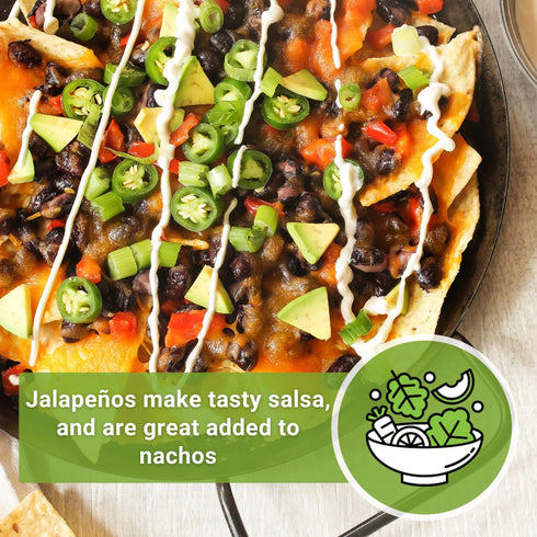 Packet (3) Sow Right Seeds - Jalapeno Pepper Seed for Planting - Non-GMO Heirloom with Instructions to Plant an Outdoor
