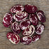 8oz (~200 Christmas Speckled Lima Bean - Bulk Seeds) - Heirloom Butter Bean Variety, USA-Grown, Non-GMO Butterbean