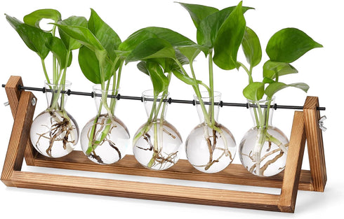 YIBOT Propagation Stations,Plant Terrarium with Wooden Stand,Plant Lover Gifts for Women for