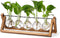 YIBOT Propagation Stations,Plant Terrarium with Wooden Stand,Plant Lover Gifts for Women for