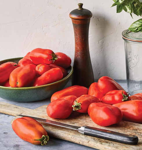75 Burpee 'San Marzano' Heirloom, Paste Tomato, Non-GMO Seeds
