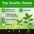 The Lucky Stars 3000+ USA Premium Egyptian Spinach Seeds (Molokhia), Non-GMO Seeds, Fast-Growing, Low Maintainance