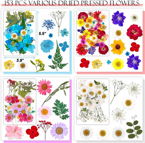 153 Pcs Dried Pressed Flowers for Crafts, Real Wildflowers and Dry Leaves with Tweezer for Jewelry, Candle, Soap Making