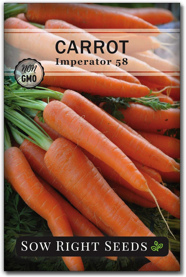 Sow Right Seeds - Imperator 58 Carrot Seed for Planting - Non-GMO