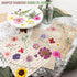 200Pcs Dried Pressed Flowers Resin Mould Real Flowers Natural Dry Leaves Bulk Mixed Colorful Herbs Kit with Tweezers for Scrapbooking DIY Candle Jewelry Crafts Making Nails Decoration(Multicolor)