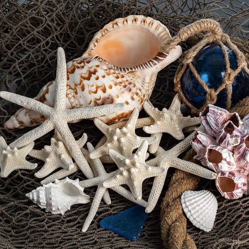 Nautical Crush Trading Starfish Decor, 5 White Starfish 4-6" and 5 Knobby Starfish 2-3.5" for Coastal Party