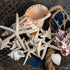 Nautical Crush Trading Starfish Decor, 5 White Starfish 4-6" and 5 Knobby Starfish 2-3.5" for Coastal Party