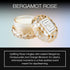 Voluspa Bergamot Rose, Macaron Candle, 1.8 oz, 15 Hour Burn Time, Coconut Wax for Clean Burning, Handcrafted in The USA