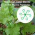 6PCS Plant Stem Supports for Indoor Plants, Reusable Monstera Plant Support, Plant Propagation Buddy, Sturdy Houseplant