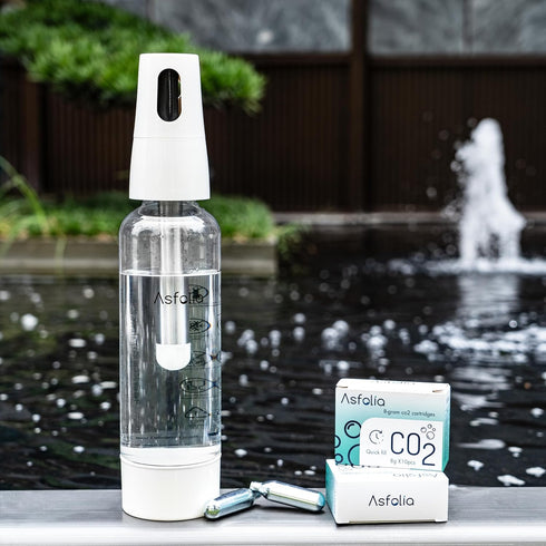 Portable Sparkling Water Maker, Stainless Soda Maker for Home and Outdoor Use, 10PCS Cylinders, 1L PET Bottle