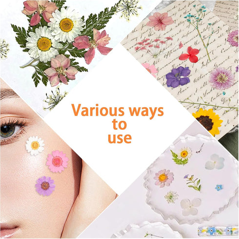 200Pcs Dried Pressed Flowers Resin Mould, Real Flowers & Natural Dry Leaves Kit for DIY Crafts