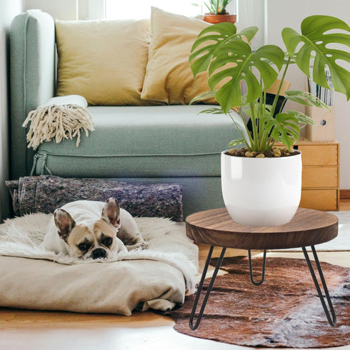 12'' 5-15 Inch Wood Plant Stand Indoor Outdoor, Wooden Planter Stands Fit Pot, Plant Stool Flower Pot Stand Gardening
