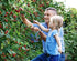 Ficoszo Pack 6 Mulberry (600pcs) Fruit Seeds Combo - Types, Strawberry Raspberry Apple Orange Blueberry Seeds, Non-GMO