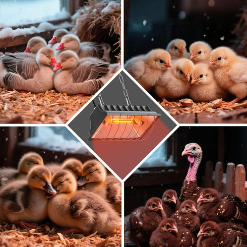 50-250W, Heat Lamp for Chickens, Halogen Chicken Heat Lamp for Young Poultry, Safe Infrared Chicken Coop & Brooder