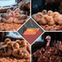 50-250W, Heat Lamp for Chickens, Halogen Chicken Heat Lamp for Young Poultry, Safe Infrared Chicken Coop & Brooder