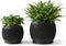 Fabix3D Plant Pots, Modern 3D Printed Honeycomb Planters for Indoor Plants, 4.7/6 Inch
