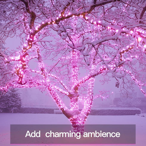 33ft 100 suddus Pink Fairy Lights Battery Operated Outdoor Waterproof, Led String Lights with Remote, Twinkle Lights