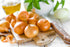 Sunutri Seeds Pack 4 Onion Seeds Variety for Planting Heirloom Non-GMO Varieties: Evergreen Bunching, Red Creole, White