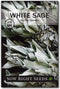 Sow Right Seeds - White Sage Seed for Planting - Non-GMO Heirloom